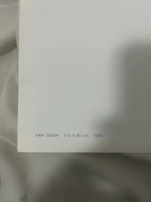 Sam Dillemans - Van Gogh kopen? Bied vanaf 60!