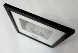 Banksy - FCK PTN! Banksy ingelijst - Complete set kopen? Bied vanaf 120!