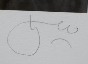 Willi Kissmer - Giclee: Het groene jasje - 2015 kopen? Bied vanaf 125!