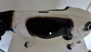 Niet of onleesbaar gesigneerd - Grote zwart bonte Koe, waarschijnlijk als reclamemateriaal in Slagerij? kopen? Bied vanaf 1!