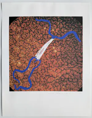 Marina Abramovic - handgesigneerde zeefdruk | 'Zonder titel' | 1991 kopen? Bied vanaf 250!