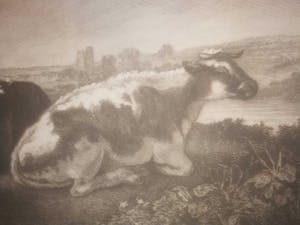 Petrus Johannes Arendzen - Koeien in de wei. kopen? Bied vanaf 1!