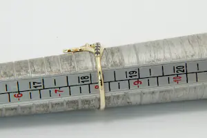 22- Elegante 14krt geel-goud & 0.30ct diamanten "Libelle" dames ring kopen? Bied vanaf 250!