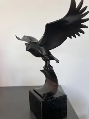 Brons (Onbekend) - Time flies kopen? Bied vanaf 149!