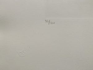 Leonor Fini - La Sorcière sur le Balai kopen? Bied vanaf 25!