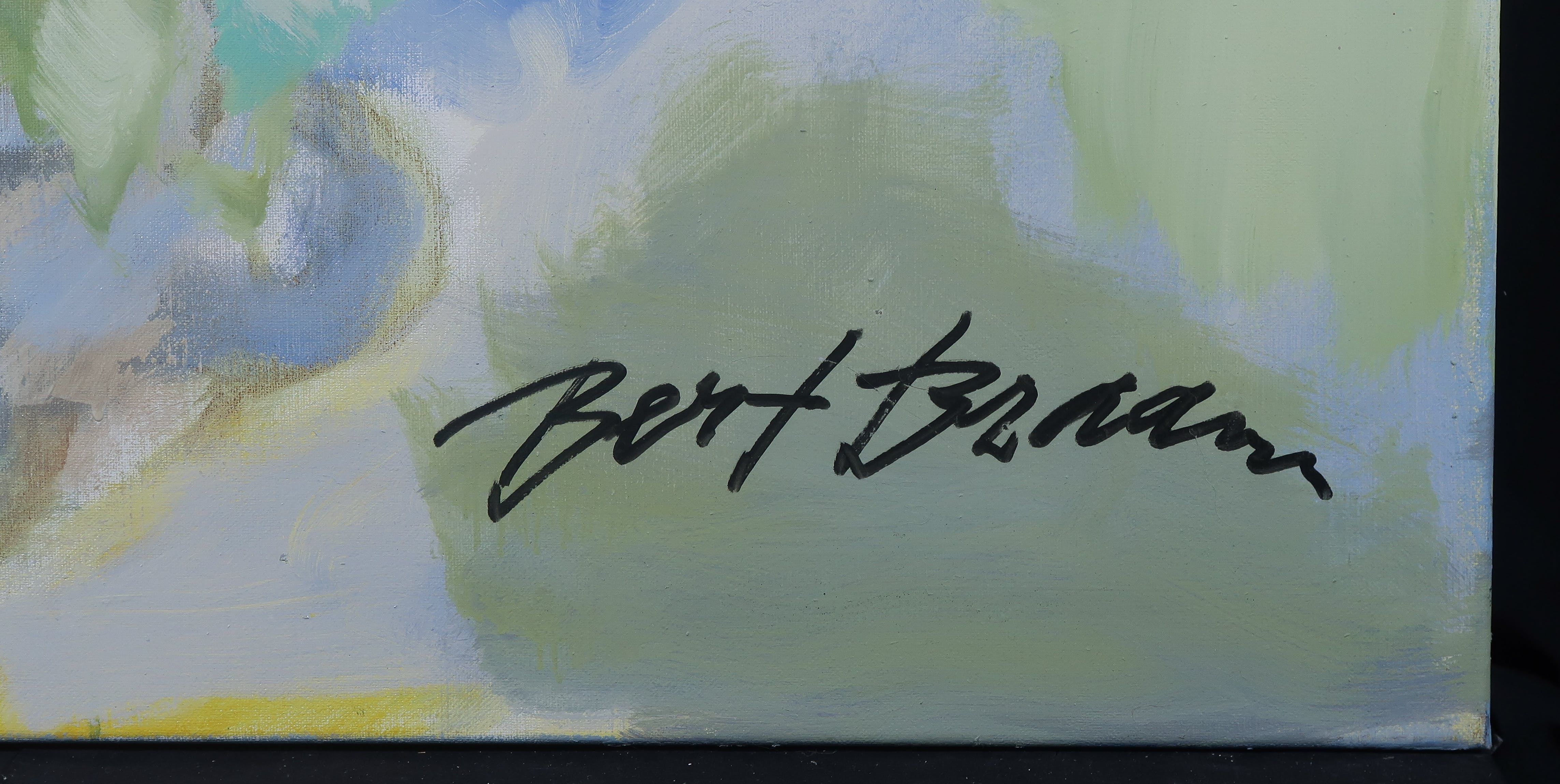 Bert Braam - Acryl op doek, Figuurlijk (Groot) kopen? Bied vanaf 180!