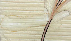 Go de Graaf - Wandkleed, Vingers 7 (Groot) kopen? Bied vanaf 1!