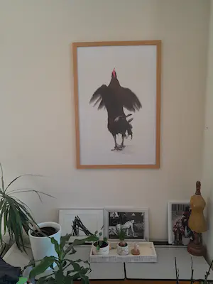 Koen Vanmechelen - Fighter kopen? Bied vanaf 740!