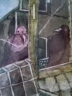 Adriaan de Kok - Prachtige ets -2 Vogels voor een raam titel " BIJNA THUIS " kopen? Bied vanaf 15!