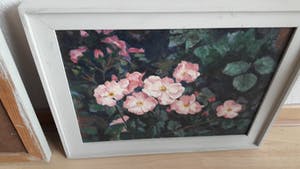 Maarten van der Meer - Rozen 1991 kopen? Bied vanaf 80!