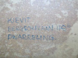 Cornelis Kievit - Dwarreling. kopen? Bied vanaf 100!