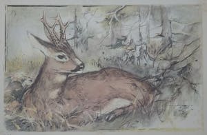 Floris Tiele - 7x diertekening van reeën kopen? Bied vanaf 39!