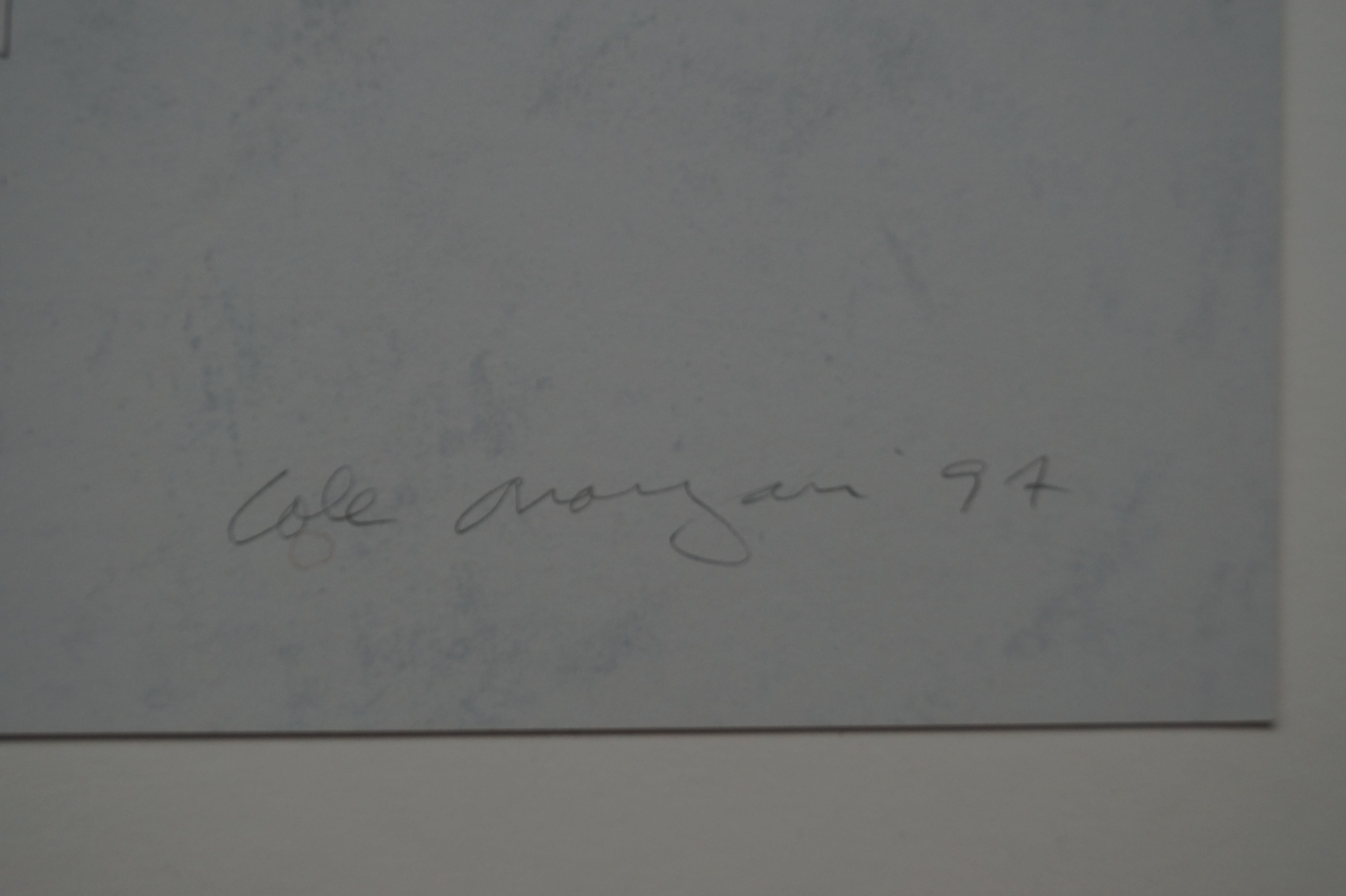 Cole Morgan - Compass - North kopen? Bied vanaf 250!