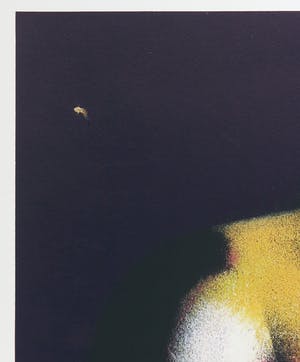Herman Brood - Grote zeefdruk, Naakt kopen? Bied vanaf 1!
