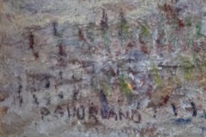 Paul Suurland - huizen kopen? Bied vanaf 50!