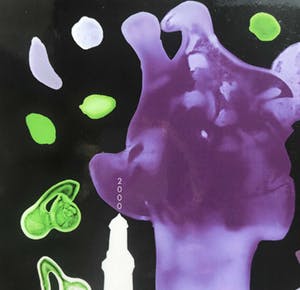 Paul Blanca - Giraffe omringd met Kersen kopen? Bied vanaf 40!