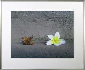 Mark Verdoes - Giclée, Buddha Love- Ingelijst verkocht voor € 1!