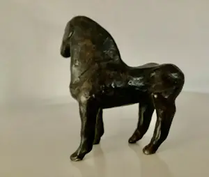 Guus Hellegers - Trots paardje kopen? Bied vanaf 400!