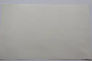 Herman Berserik - Monochrome droge naald Ets "souvenir" - unica / eigen druk exemplaar gesignrd kopen? Bied vanaf 36!