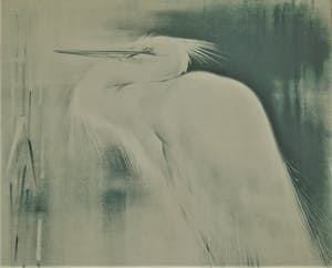 Han van Meegeren - 'Zilverreiger' kopen? Bied vanaf 50!