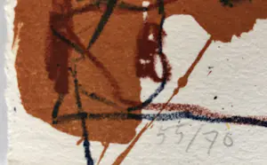 Rik van Iersel - Storyteller I en Storyteller II - Set Kleurenlithos in Nieuwstaat kopen? Bied vanaf 10!