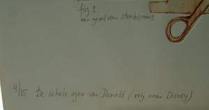 Arend van Dam - Kleuren ets op papier, getiteld "De schele ogen van Donald" 4/15 kopen? Bied vanaf 15!