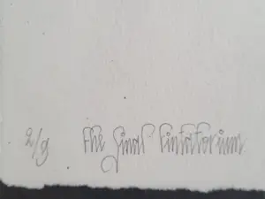 Adriaan Nette - The Final Fin.....?? kopen? Bied vanaf 59!