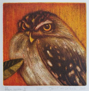 Toni de Klerk - Ets, Titel Athene noctua II kopen? Bied vanaf 25!