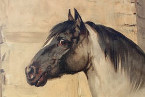 Otto Eerelman - Chromolithografie Het Bretagner paard kopen? Bied vanaf 150!