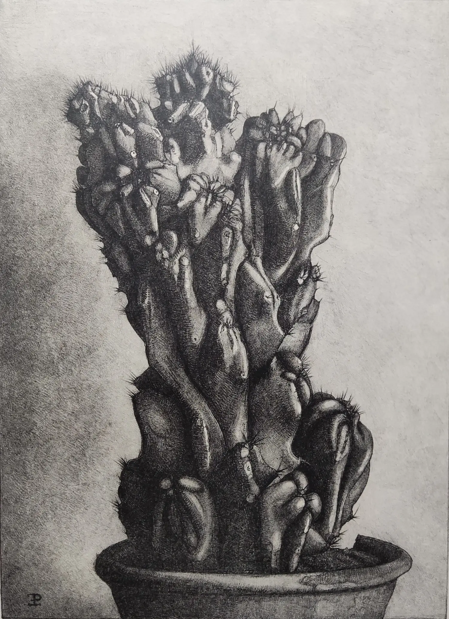 Ella Pauw (1882-1968)