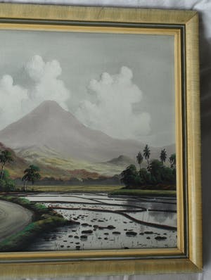 Niet of onleesbaar gesigneerd - Grote ingelijste gouache , Indisch landschap – ca. 1950 – 54 x 87 cm. kopen? Bied vanaf 1!