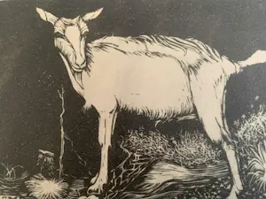 Jan Mankes - Jan Mankes, “Geit”, 1915 kopen? Bied vanaf 60!