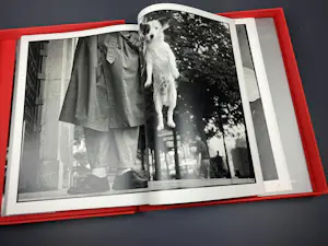 Elliott Erwitt - XXL Special Limited Edition gesigneerd/genummerd + gesigneerde Art Card kopen? Bied vanaf 750!