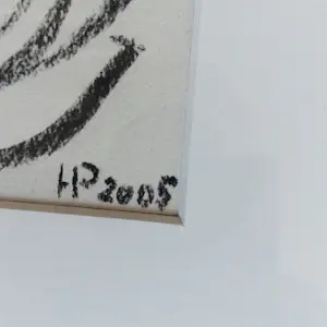 Hannes Postma - Grote in 2005 gemaakte houtskool tekening "Pandora's paddling" goed ingelijst kaufen? Bieten Sie von 58!