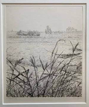 Reinder Homan - Ets, Landschap met riet in de polder ‘89 kopen? Bied vanaf 50!
