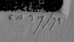 Reinder Homan - Ets: Landschap met een sloot - 1989 kopen? Bied vanaf 115!