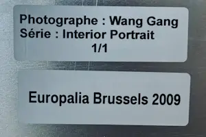Wang Gang - Innenporträt - Ausstellung kopen? Bied vanaf 250!