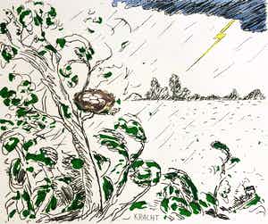 Pieter Holstein - Kracht verkocht voor € 65!