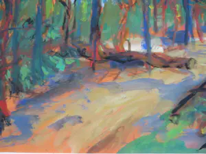 Paul Werner - ZOMERS BOS 1976 kopen? Bied vanaf 120!