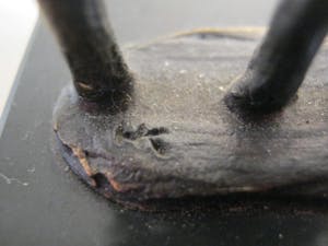 Hans Kuyper - Hans Kuyper - sculptuur "Botanica (4) - gesigneerd kopen? Bied vanaf 50!