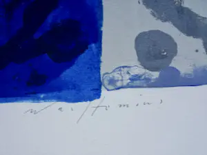 Piet Warffemius - zeefdruk " Fly my sadness" kopen? Bied vanaf 34!