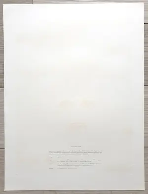 Rene Magritte - Shéhérazade kopen? Bied vanaf 440!