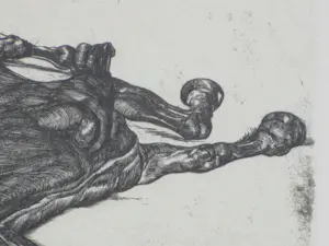Pieter Dupont - Het doode paard - Ets op koper kopen? Bied vanaf 65!