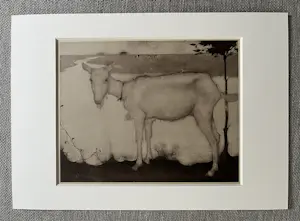 Jan Mankes - Originele Heliogravure Geit bij het Meer 1923 kopen? Bied vanaf 125!