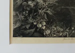 Aart van Dobbenburgh - Z.t. (clematisbloesem over rots) kopen? Bied vanaf 35!