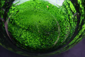 Niet of onleesbaar gesigneerd - Wonderschoon Grote Handgeblazen Melkglazen Kunsternaars Bolvaas (20e eeuw) kopen? Bied vanaf 1!