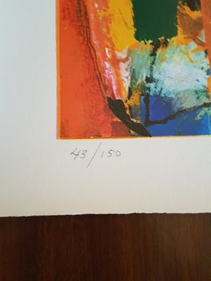 Guillaume Lo-A-Njoe - Elefhant kopen? Bied vanaf 80!