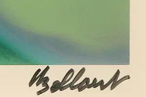 Jan Bollaert - Foto, Depth of Art Sanitation - Ingelijst kopen? Bied vanaf 50!