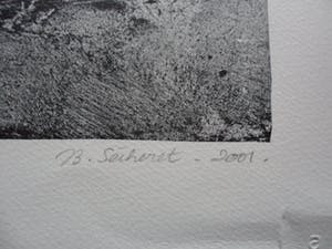 Jean-Baptiste Sécheret - Litho, titel. "Snoekkoppen III ". kopen? Bied vanaf 30!