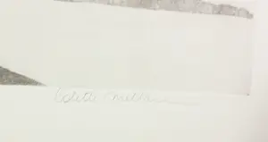 Colette Meltzer-Haesaerts - Aquatint, Melody kopen? Bied vanaf 20!